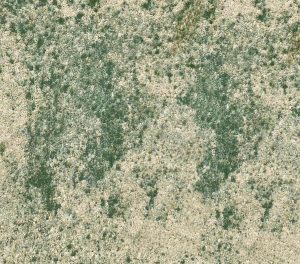 Verde Agua