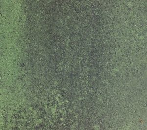 Verde Oliva